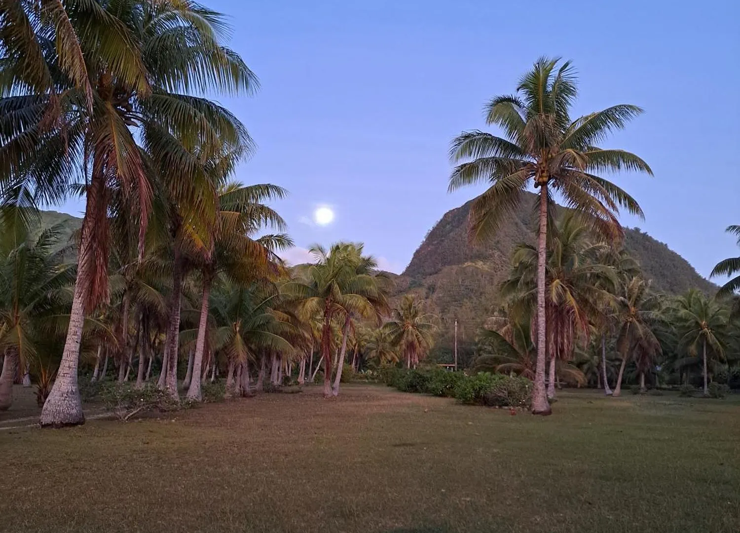 Tifaifai Et Cafe Huahine Bed & Breakfast Fare 3*,